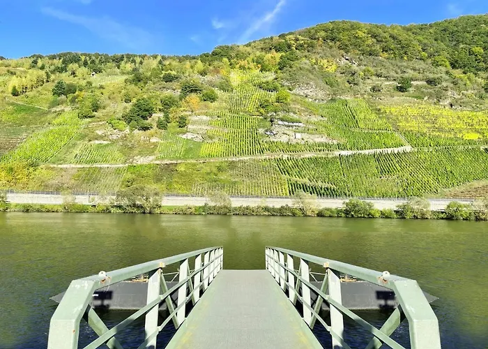Lägenhet Altes Winzerhaus Am Moselufer - Klosterberg